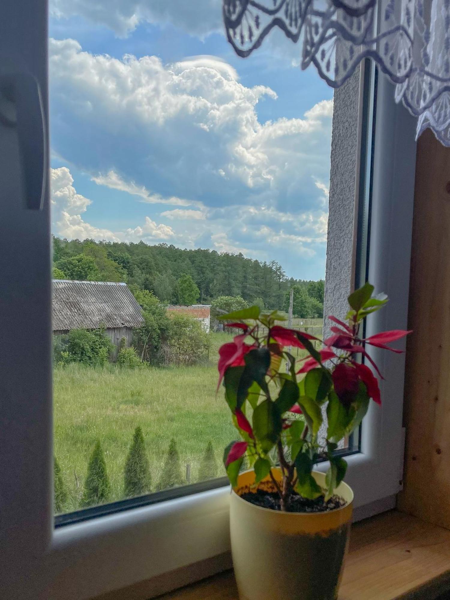 Szumi Farm stay *